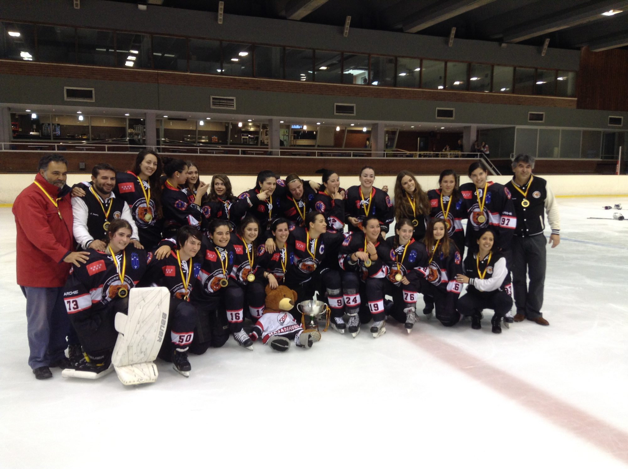 HOCKEY HIELO | FEDH | Federación Española de Deportes de Hielo