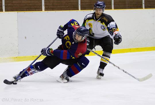 , Sexta Jornada de la LNHH, Real Federación Española Deportes de Hielo