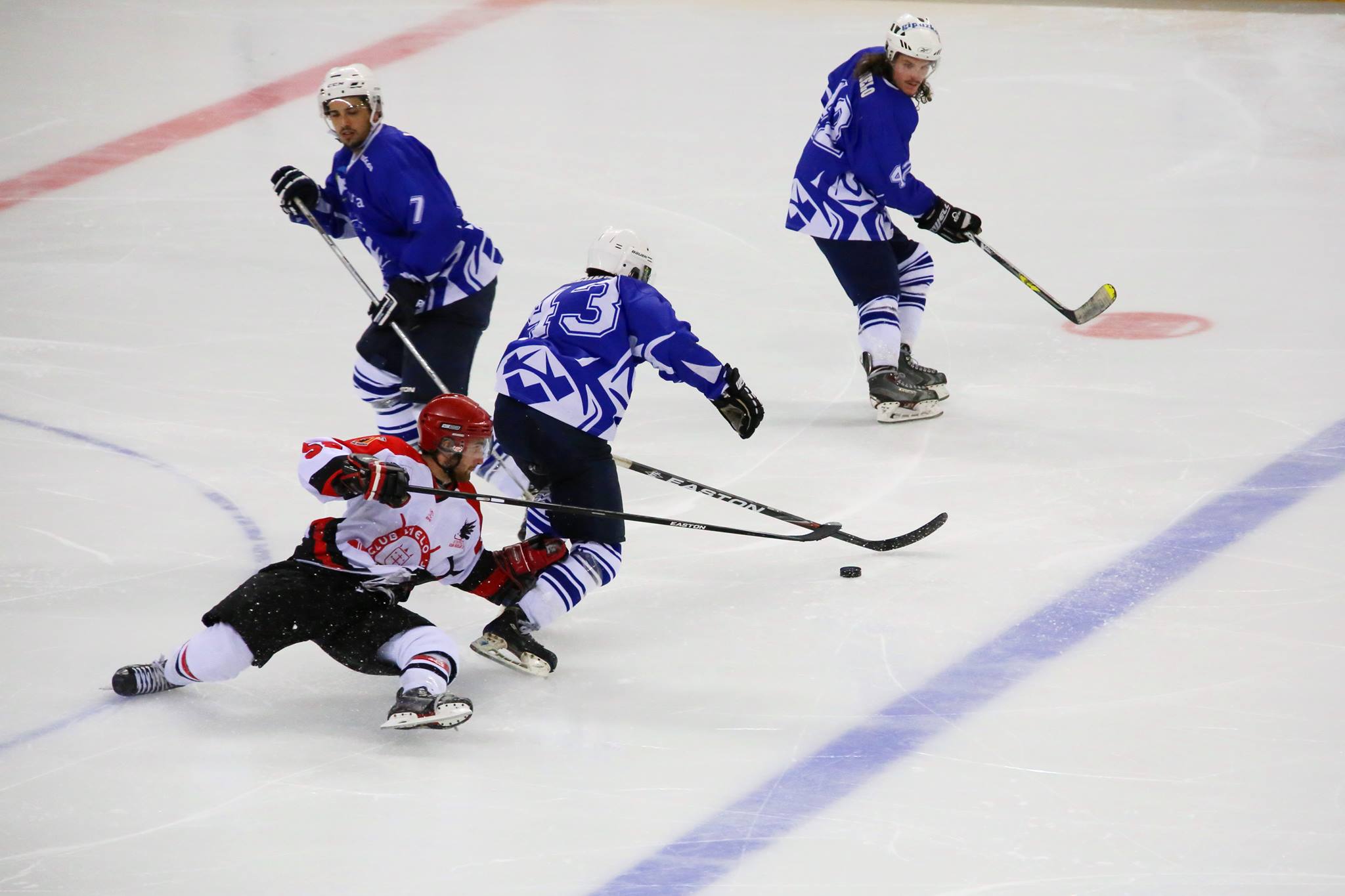 , A la caza del líder de la LNHH, Real Federación Española Deportes de Hielo