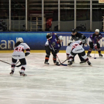 FEDHIELO. Real Federación Española Deportes de Hielo | HOCKEY HIELO