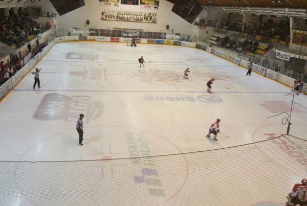 hemeroteca, Hemeroteca, Real Federación Española Deportes de Hielo