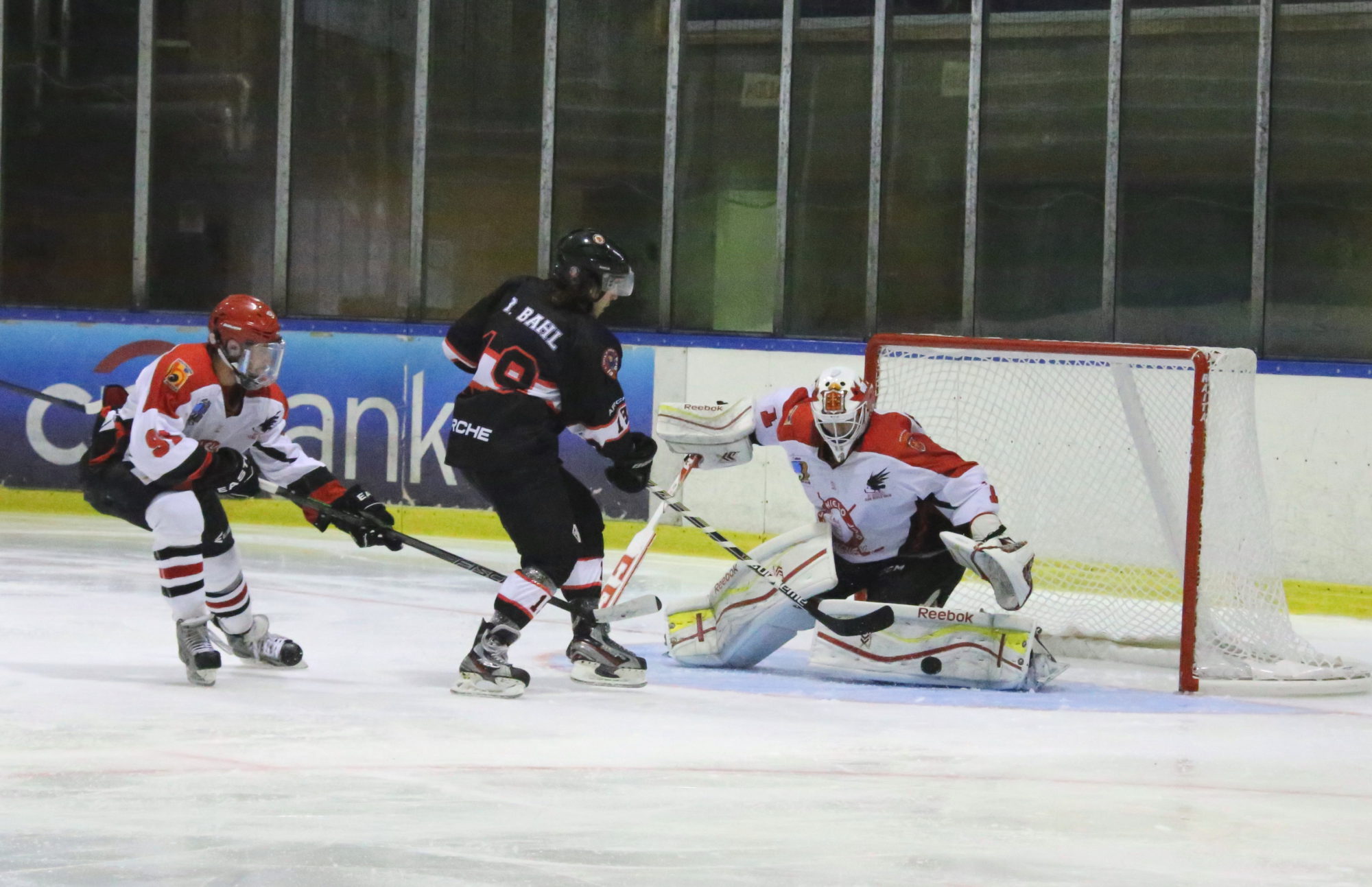 , La Liga Nacional de Hockey Hielo al rojo vivo, Real Federación Española Deportes de Hielo