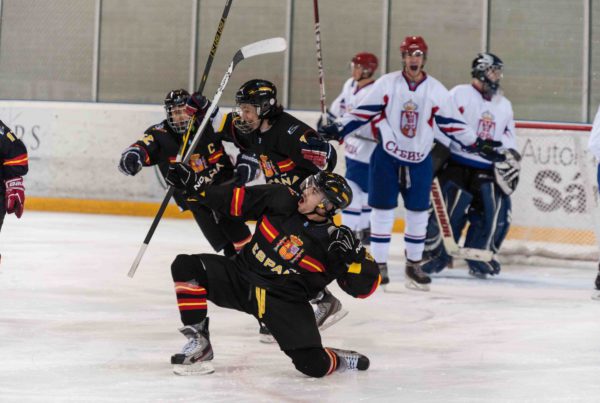 hemeroteca, Hemeroteca, Real Federación Española Deportes de Hielo