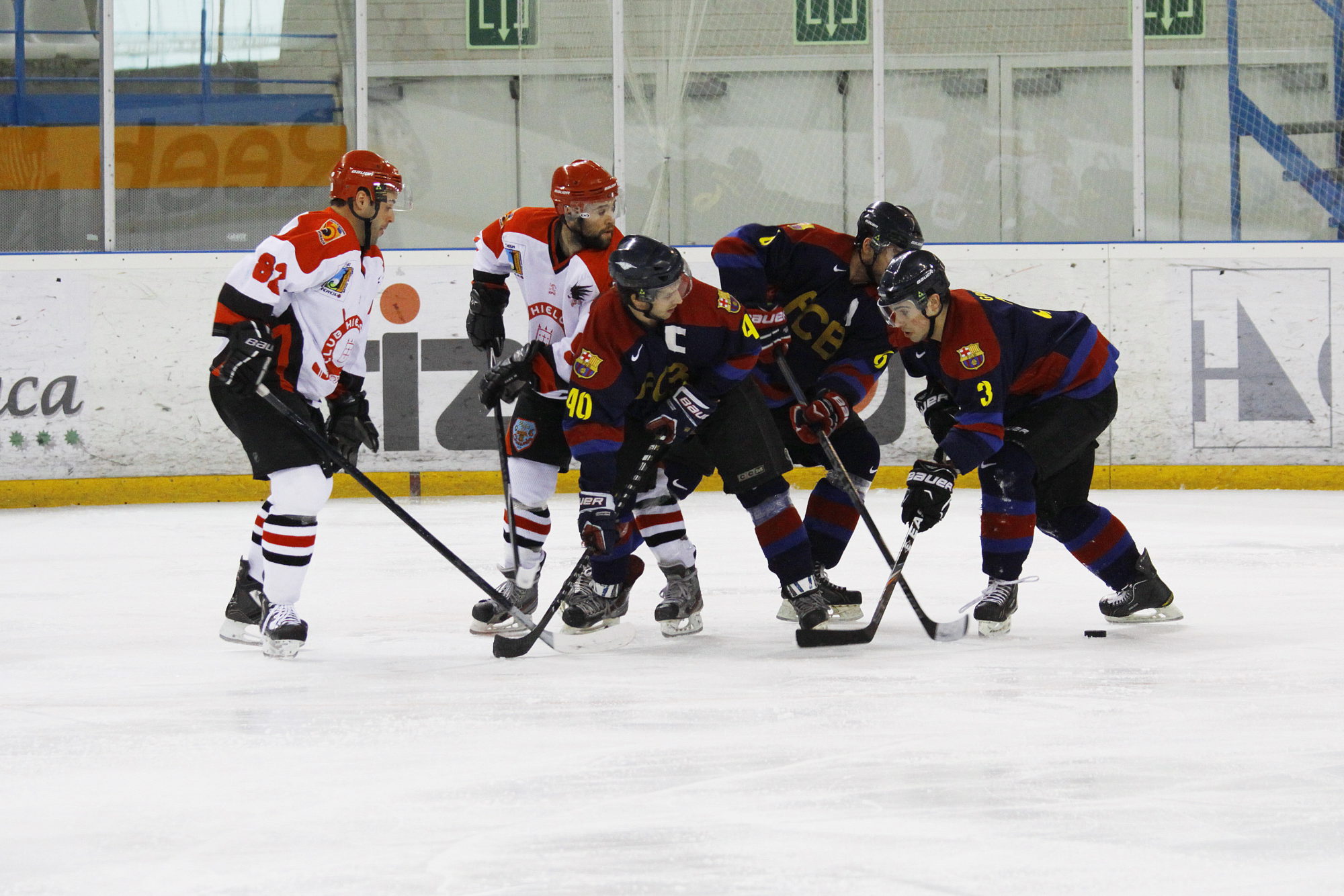 , Vuelve la Liga Nacional de Hockey Hielo, Real Federación Española Deportes de Hielo