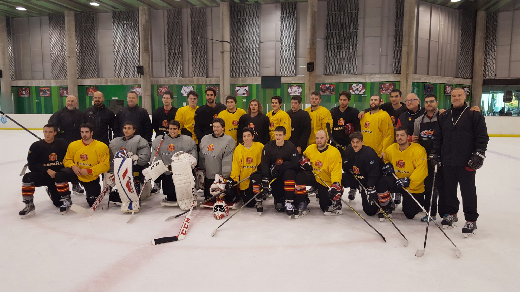 , Valdemoro ya está preparada para ser la capital del Hockey Hielo, Real Federación Española Deportes de Hielo