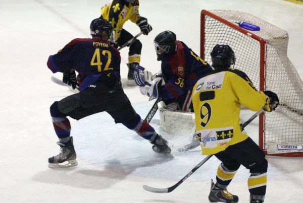 hemeroteca, Hemeroteca, Real Federación Española Deportes de Hielo