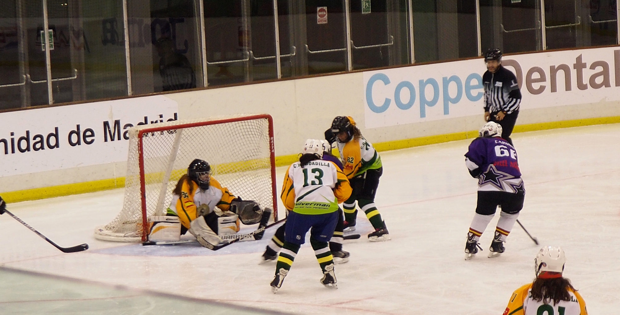 , El CHH Txuri Urdín impone su ley en la LNHH, Real Federación Española Deportes de Hielo