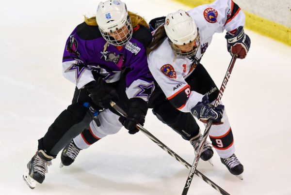 hemeroteca, Hemeroteca, Real Federación Española Deportes de Hielo