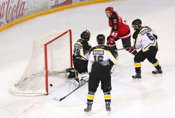hemeroteca, Hemeroteca, Real Federación Española Deportes de Hielo