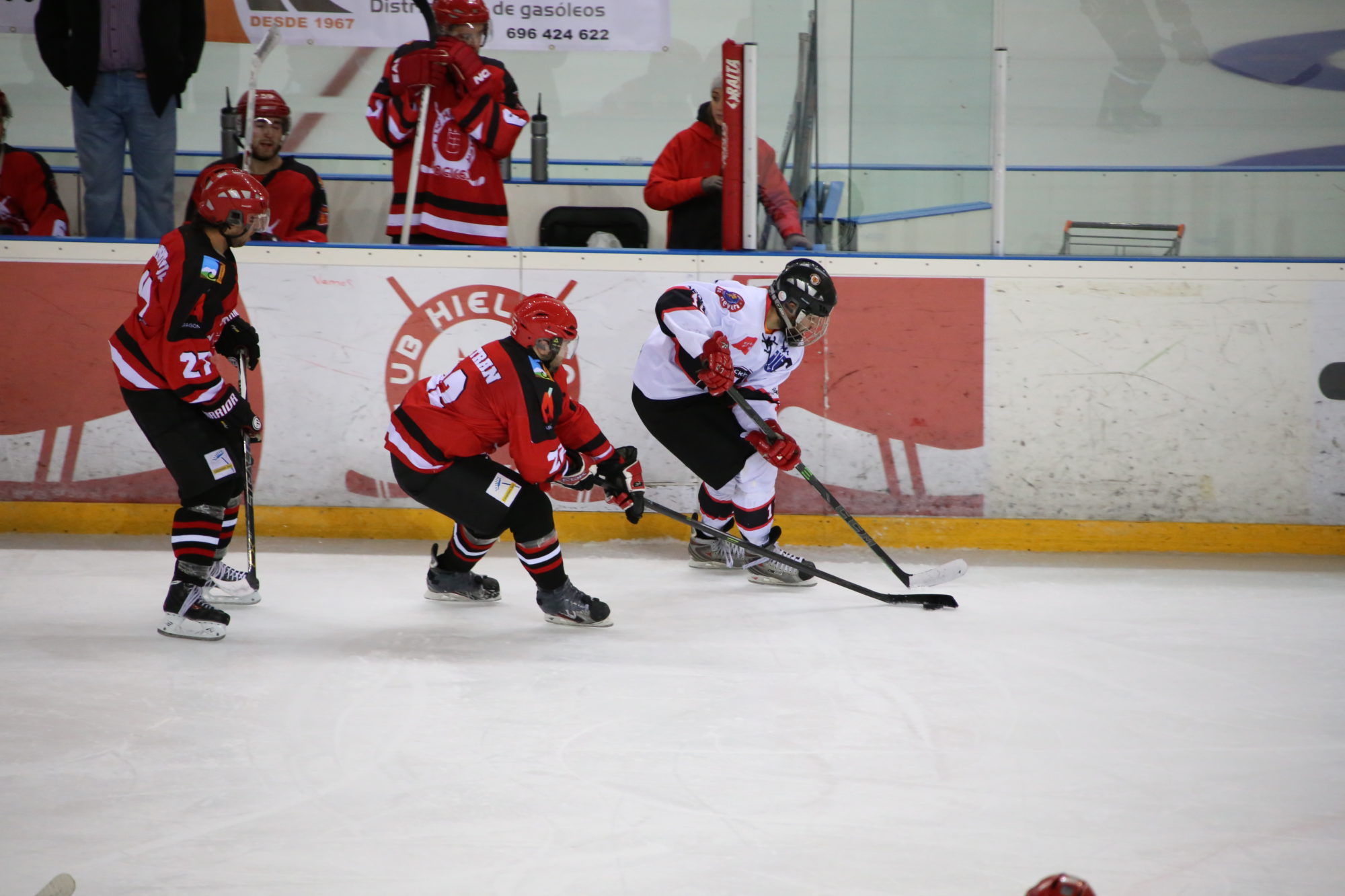 , Última jornada de la fase regular de la LNHH, con la cabeza ya en los play off, Real Federación Española Deportes de Hielo