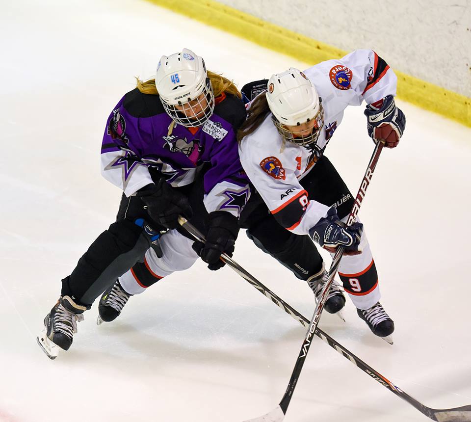 , Asalto al liderato en la LNHH femenina, Real Federaci&oacute;n Espa&ntilde;ola Deportes de Hielo