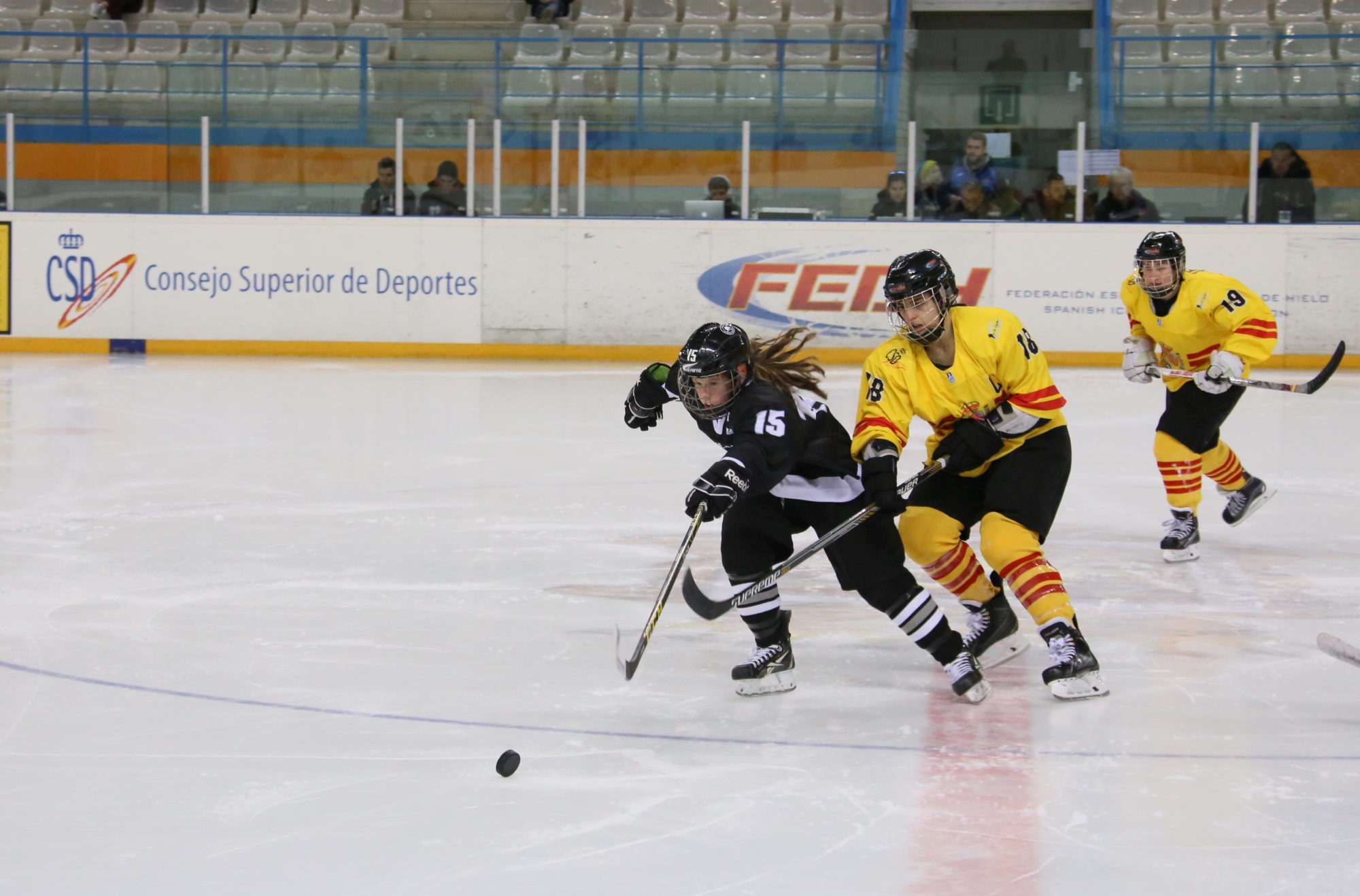 , Vanesa Abrisqueta: Vamos a por todas, Real Federación Española Deportes de Hielo