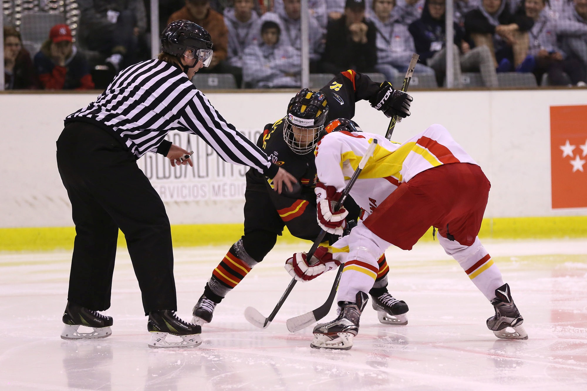 , España vence a China en el Mundial U18 de Hockey Hielo, Real Federación Española Deportes de Hielo