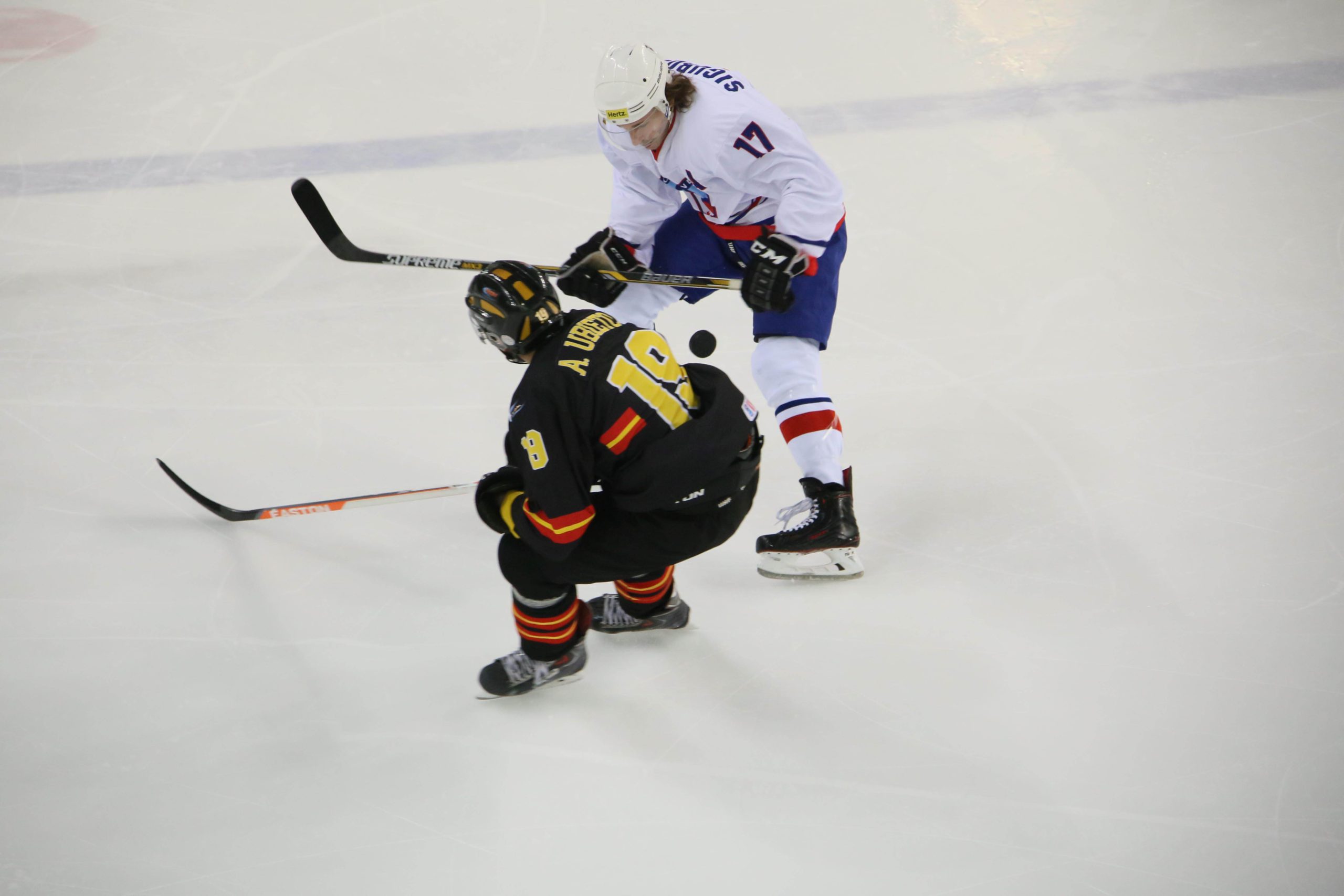 , España consigue la plata en el Mundial de Hockey Hielo de Jaca, Real Federación Española Deportes de Hielo