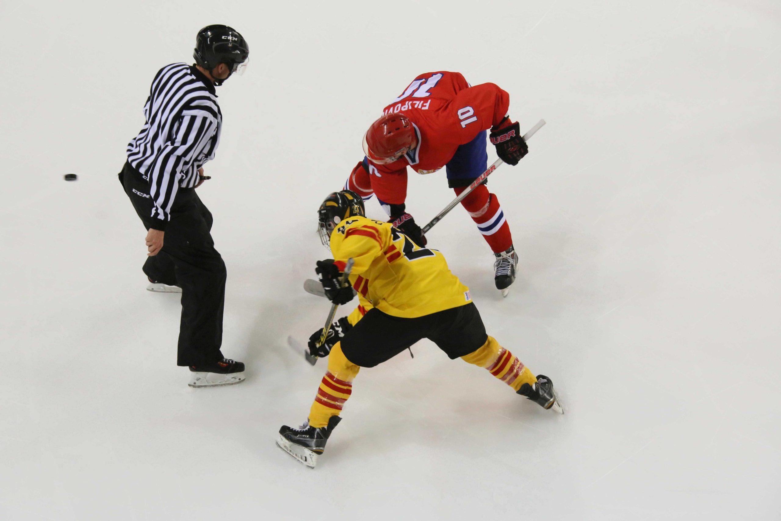 , Gran victoria de España ante Serbia en el Mundial de Hockey Hielo, Real Federación Española Deportes de Hielo