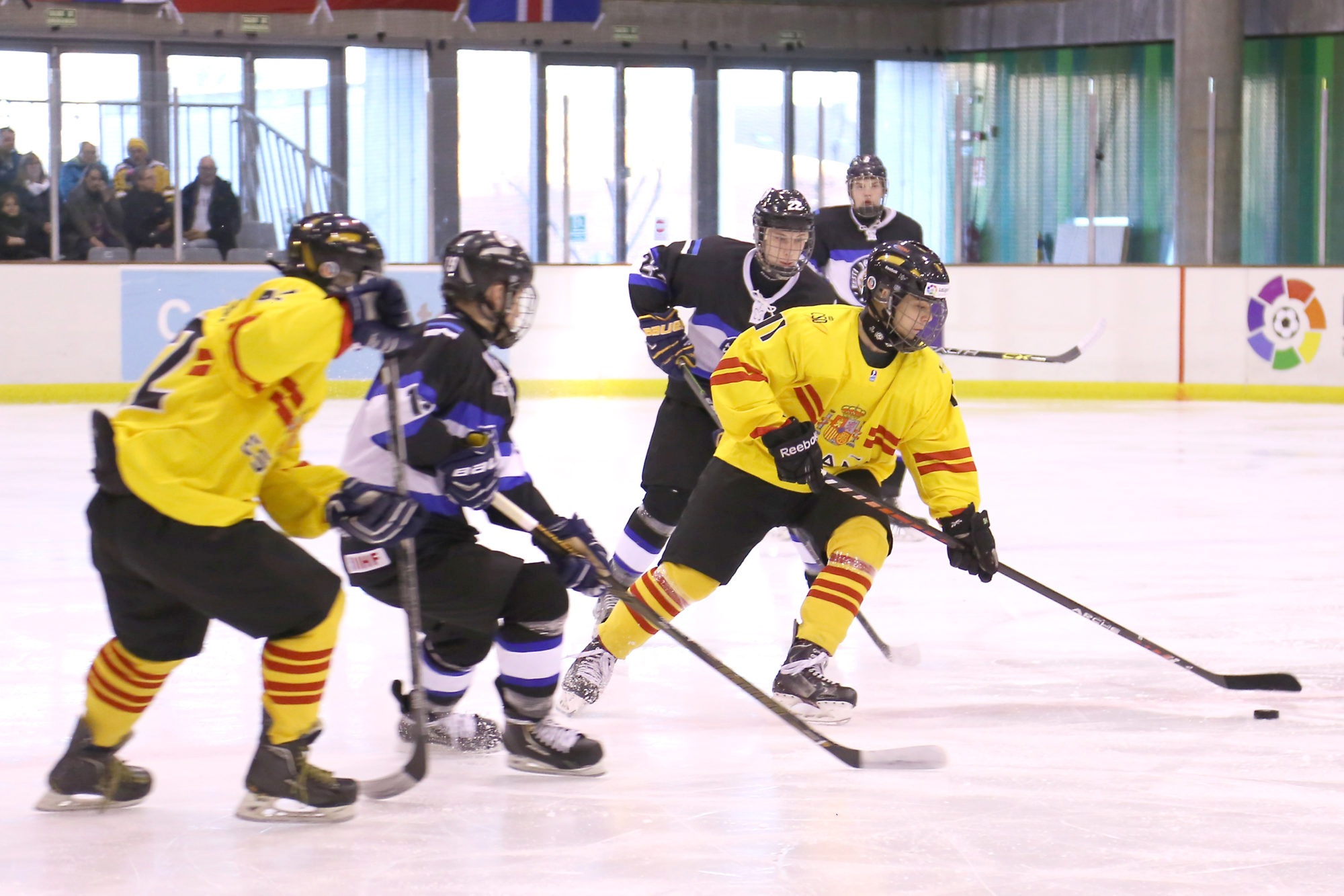 , España subcampeona en el Mundial U18 de Hockey Hielo, Real Federación Española Deportes de Hielo