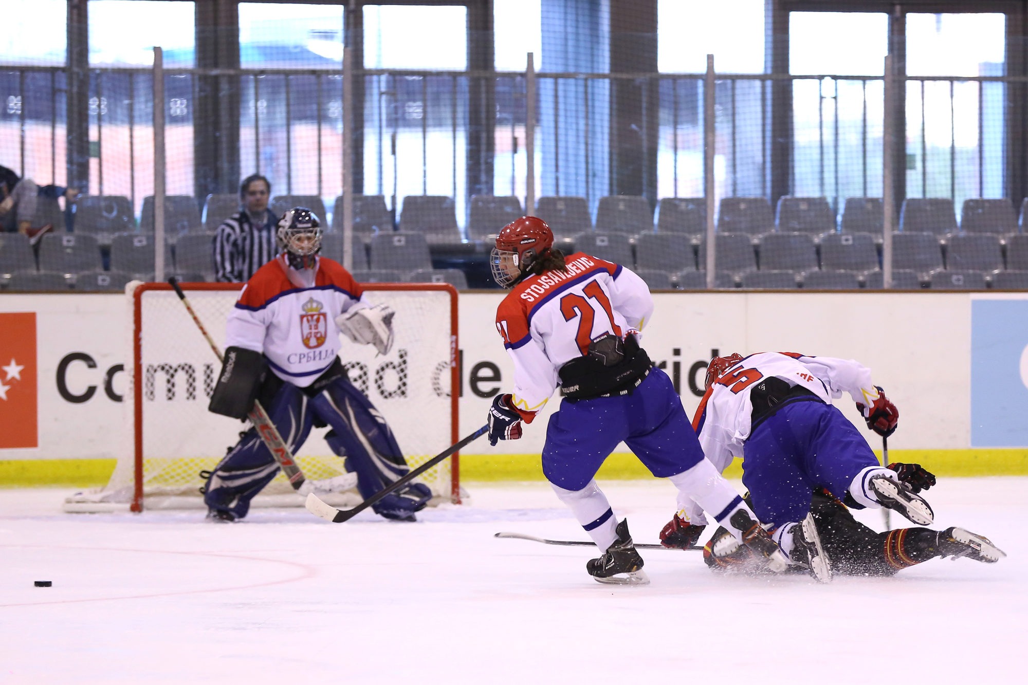 , Curso de delegado de Hockey Hielo, Real Federación Española Deportes de Hielo