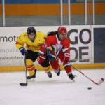 , Campeonato del Mundo Hockey Hielo Femenino, Jaca 2016, Real Federación Española Deportes de Hielo