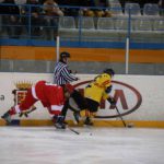 , Campeonato del Mundo Hockey Hielo Femenino, Jaca 2016, Real Federación Española Deportes de Hielo