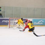 , Campeonato del Mundo Hockey Hielo Femenino, Jaca 2016, Real Federación Española Deportes de Hielo