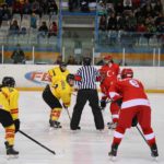 , Campeonato del Mundo Hockey Hielo Femenino, Jaca 2016, Real Federación Española Deportes de Hielo