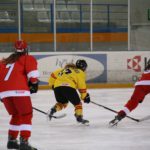 , Campeonato del Mundo Hockey Hielo Femenino, Jaca 2016, Real Federación Española Deportes de Hielo