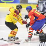 , Campeonato del Mundo U20 Hockey Hielo, Nobi Sad (Serbia) 2016, Real Federación Española Deportes de Hielo