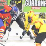 , Campeonato del Mundo U20 Hockey Hielo, Nobi Sad (Serbia) 2016, Real Federación Española Deportes de Hielo