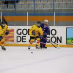 , Campeonato del Mundo Hockey Hielo Femenino, Jaca 2016, Real Federación Española Deportes de Hielo