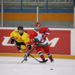 , Campeonato del Mundo Hockey Hielo Femenino, Jaca 2016, Real Federación Española Deportes de Hielo