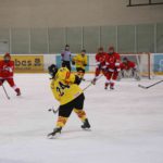 , Campeonato del Mundo Hockey Hielo Femenino, Jaca 2016, Real Federación Española Deportes de Hielo