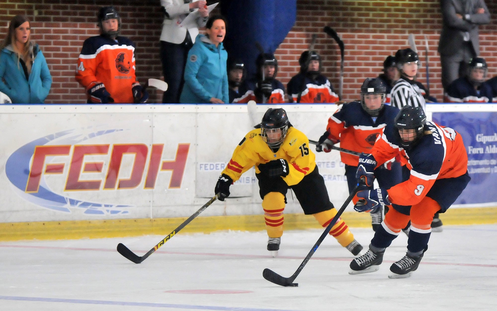 , Holanda vence a España en el Preolímpico de Hockey Hielo, Real Federación Española Deportes de Hielo