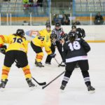 , Campeonato del Mundo Hockey Hielo Femenino, Jaca 2016, Real Federación Española Deportes de Hielo