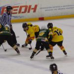 , Campeonato del Mundo Hockey Hielo Femenino, Jaca 2016, Real Federación Española Deportes de Hielo