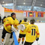 , Campeonato del Mundo Hockey Hielo Absoluto, Jaca 2016, Real Federación Española Deportes de Hielo