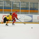 , Campeonato del Mundo Hockey Hielo Absoluto, Jaca 2016, Real Federación Española Deportes de Hielo