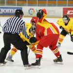 , Campeonato del Mundo Hockey Hielo Absoluto, Jaca 2016, Real Federación Española Deportes de Hielo