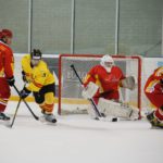 , Campeonato del Mundo Hockey Hielo Absoluto, Jaca 2016, Real Federación Española Deportes de Hielo