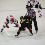 , Campeonato del Mundo Hockey Hielo Absoluto, Jaca 2016, Real Federación Española Deportes de Hielo