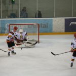 , Campeonato del Mundo Hockey Hielo Absoluto, Jaca 2016, Real Federación Española Deportes de Hielo