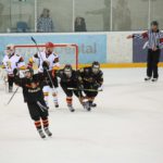 , Campeonato del Mundo Hockey Hielo Absoluto, Jaca 2016, Real Federación Española Deportes de Hielo