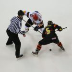 , Campeonato del Mundo Hockey Hielo Absoluto, Jaca 2016, Real Federación Española Deportes de Hielo