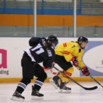 , Campeonato del Mundo Hockey Hielo Femenino, Jaca 2016, Real Federación Española Deportes de Hielo