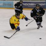 , Campeonato del Mundo Hockey Hielo Femenino, Jaca 2016, Real Federación Española Deportes de Hielo