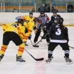 , Campeonato del Mundo Hockey Hielo Femenino, Jaca 2016, Real Federación Española Deportes de Hielo