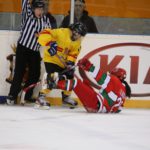 , Campeonato del Mundo Hockey Hielo Femenino, Jaca 2016, Real Federación Española Deportes de Hielo