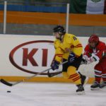 , Campeonato del Mundo Hockey Hielo Femenino, Jaca 2016, Real Federación Española Deportes de Hielo