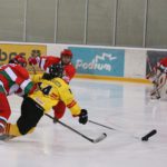 , Campeonato del Mundo Hockey Hielo Femenino, Jaca 2016, Real Federación Española Deportes de Hielo