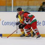 , Campeonato del Mundo Hockey Hielo Femenino, Jaca 2016, Real Federación Española Deportes de Hielo