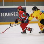 , Campeonato del Mundo Hockey Hielo Femenino, Jaca 2016, Real Federación Española Deportes de Hielo